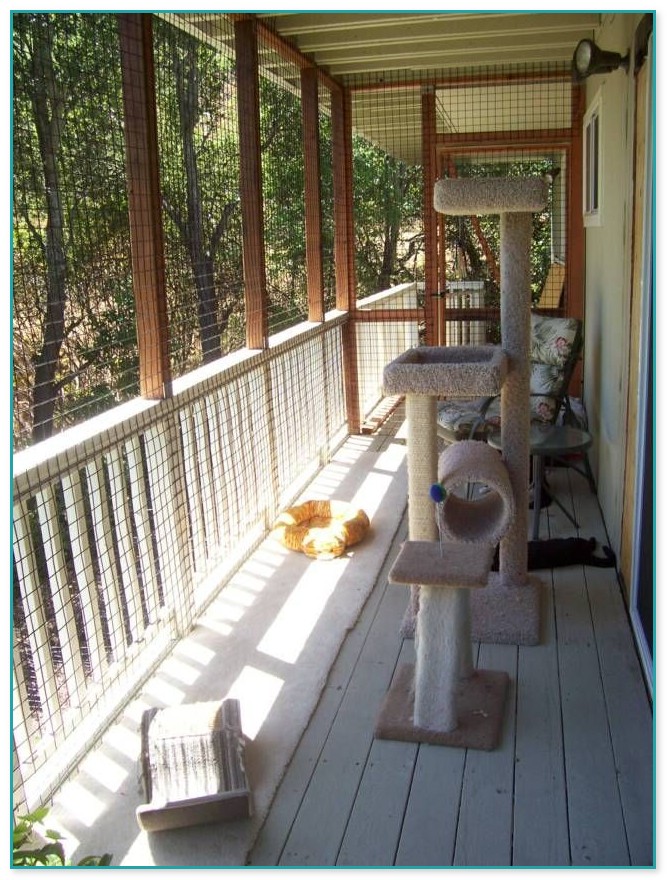 Deck Enclosures For Cats