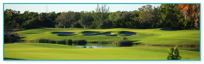 Hammock Bay Golf Course Naples Florida