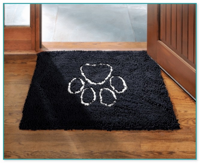 Absorbent Doormat For Dogs