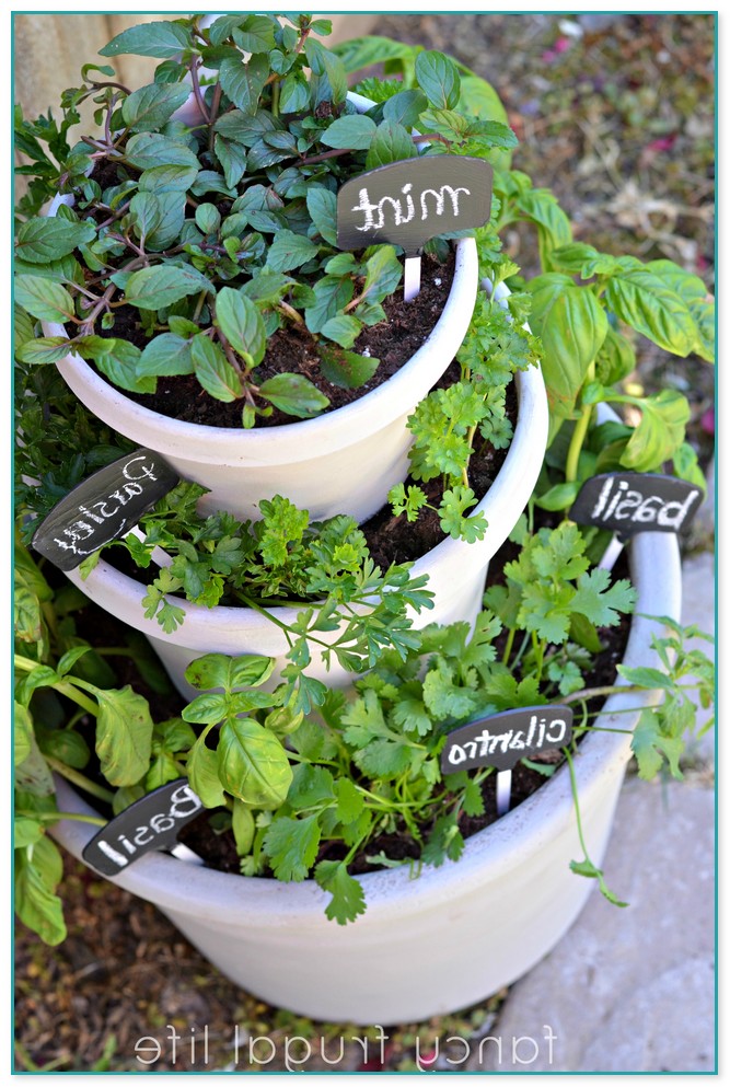 Awesome Ideas For Herb Garden Containers
