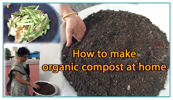 Best Organic Compost To Buy