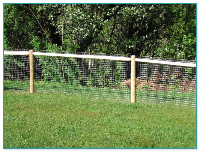 Best Wire Fence For Dogs