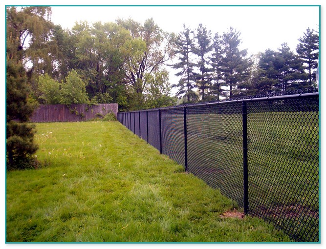Chain Link Fence Black