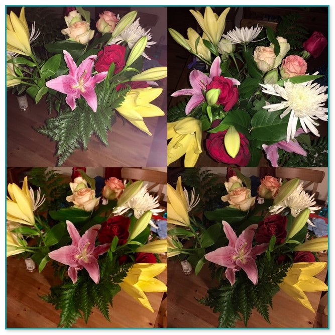 Cheap Flowers Delivery Under $20