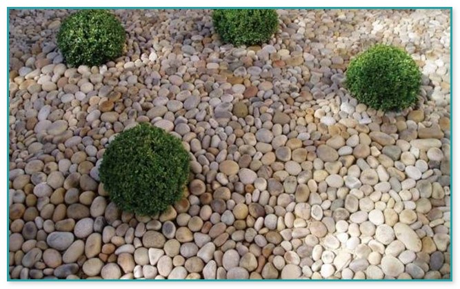 Decorative Pebbles For Gardens