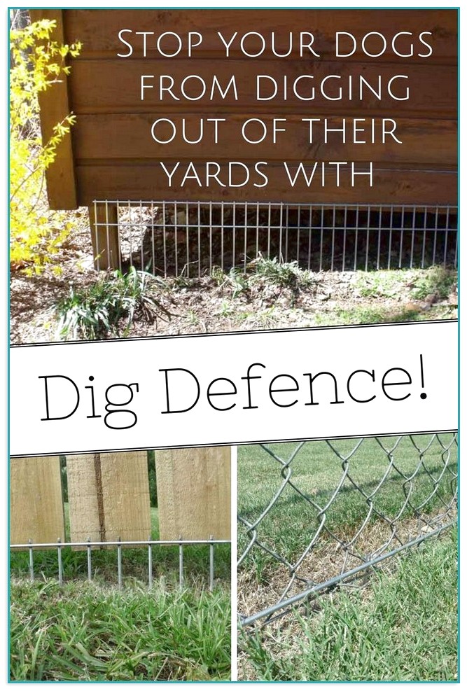 Dog Fence Installation Cost 1