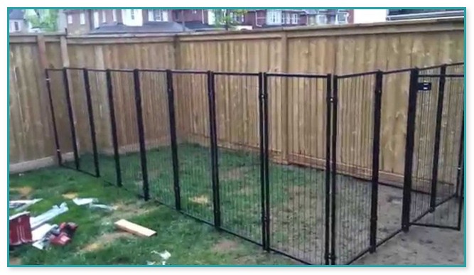 Dog Fences For Outside