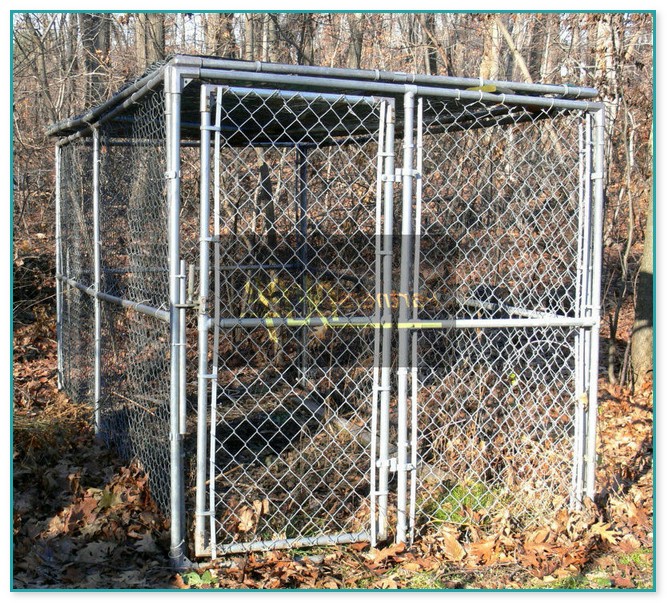 Dog Fences For Sale