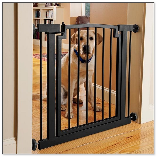 Dog Gate For House