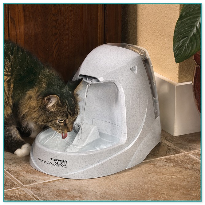 Drinkwell Pet Fountain For Cats