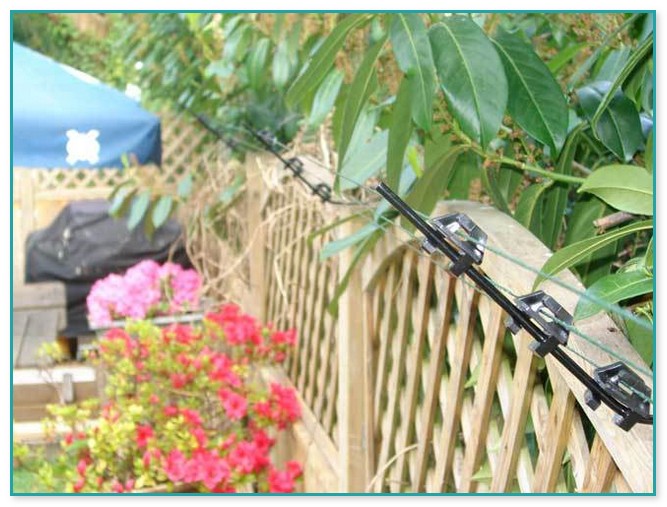 Electric Fence For Cats