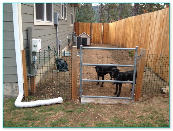 Fence Ideas For Dogs
