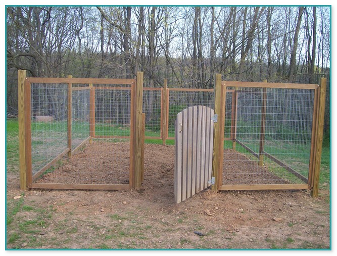Fencing Ideas For Dogs