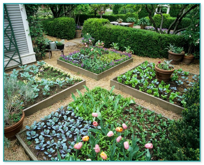 Gardening Raised Beds Design