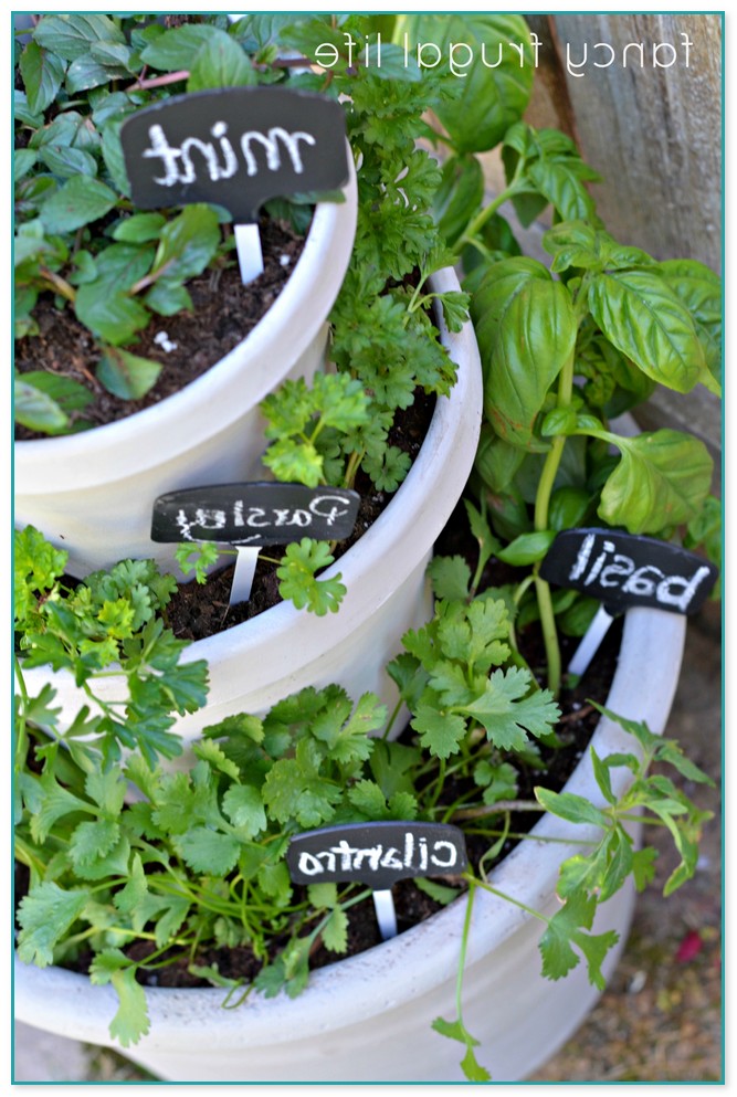 Ideas For Herb Garden Containers