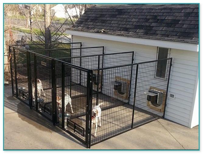 Indoor Fence For Dogs