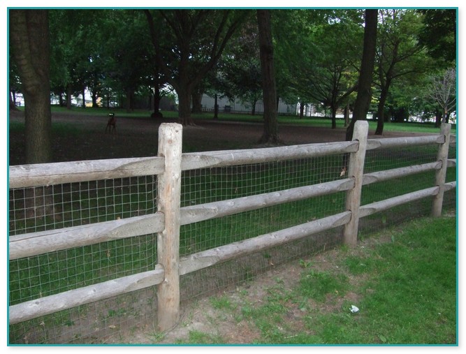Inexpensive Dog Fence Ideas