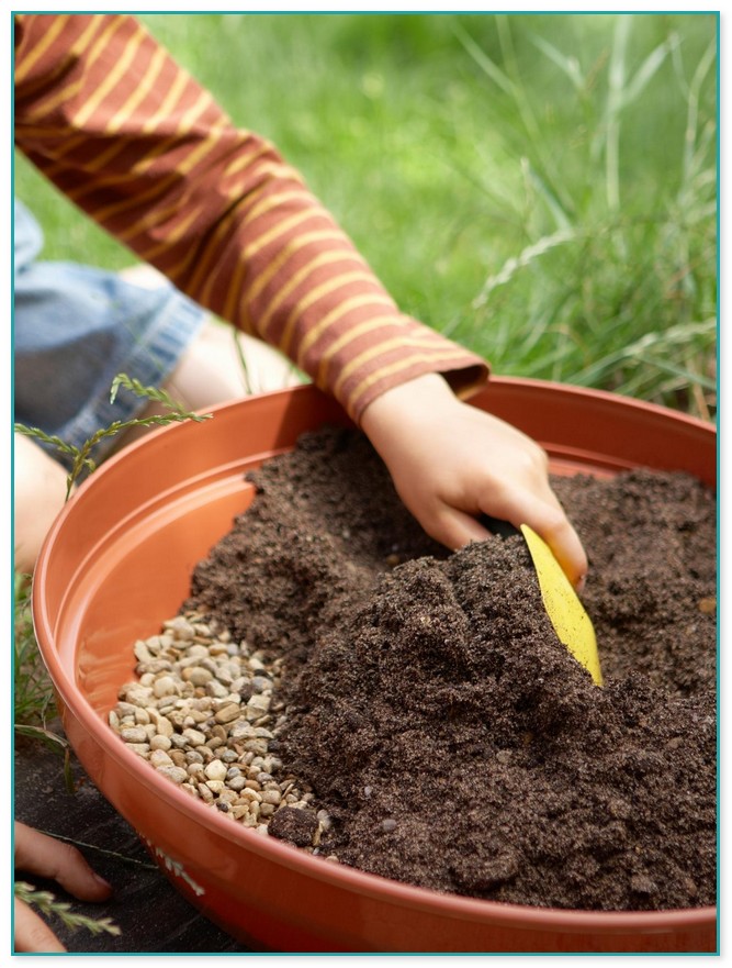 Potting Soil For Container Gardening