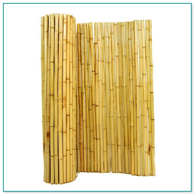 Rolled Bamboo Fencing Home Depot
