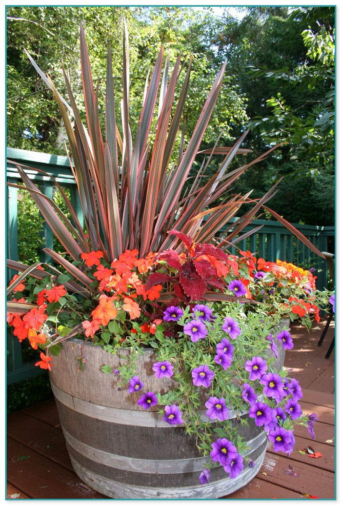 Container Flower Gardening Ideas 3