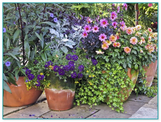 Container Flower Gardening Ideas 4