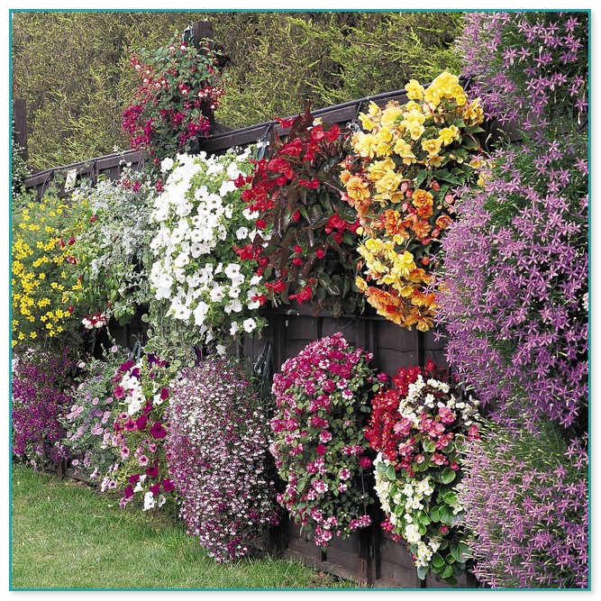Container Flower Gardening Ideas 5