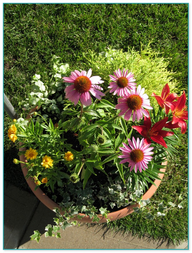 Container Flower Gardening Ideas 6