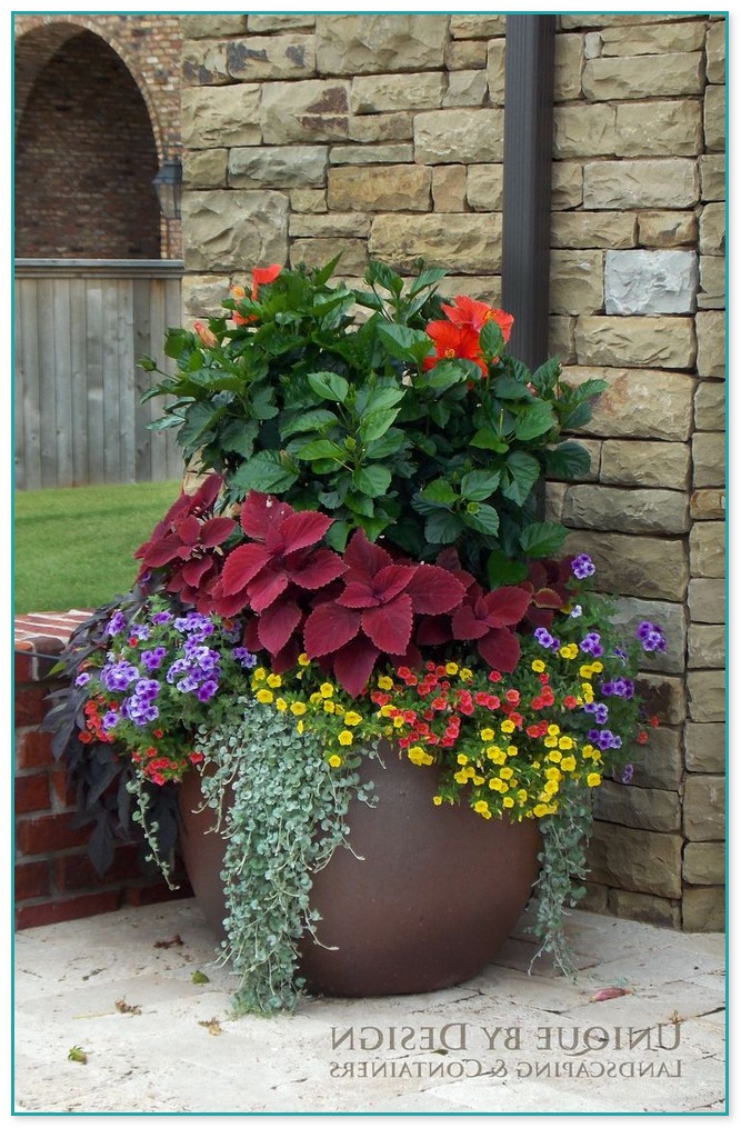 Container Flower Gardening Ideas 7