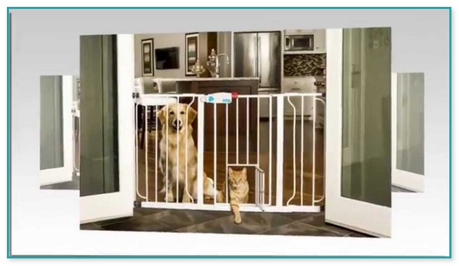 Baby Gates With Dog Door 2
