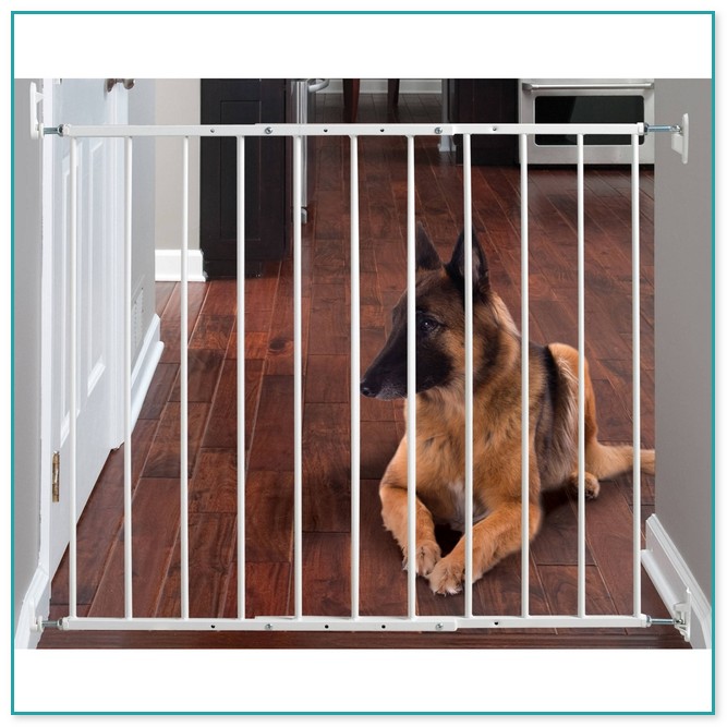 Baby Gates With Pet Access 3