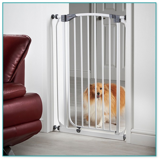 Baby Safety Gates With Cat Door 2