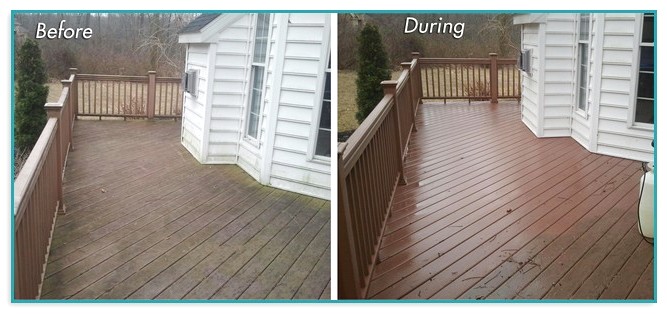 Composite Deck Cleaning Mold 2
