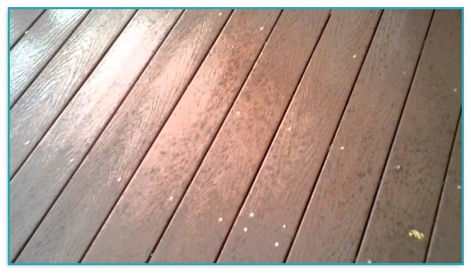 Composite Deck Cleaning Mold