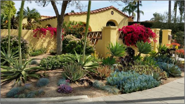 Backyard Landscaping Design San Diego