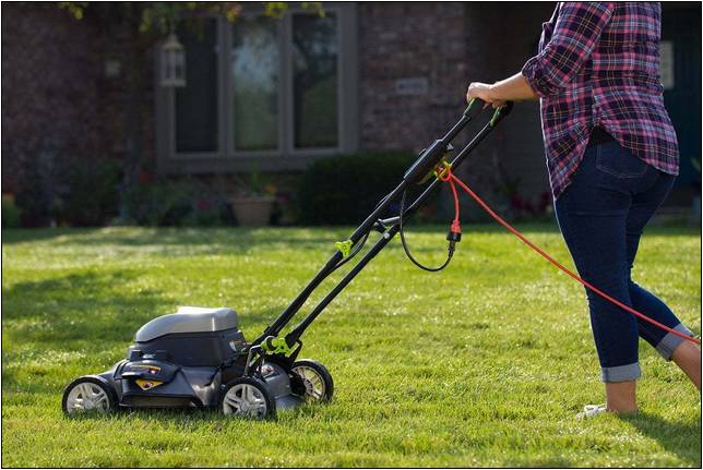 Best Electric Lawn Mower For Large Lawns