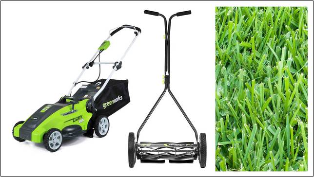 Best Reel Lawn Mower For St Augustinegrass