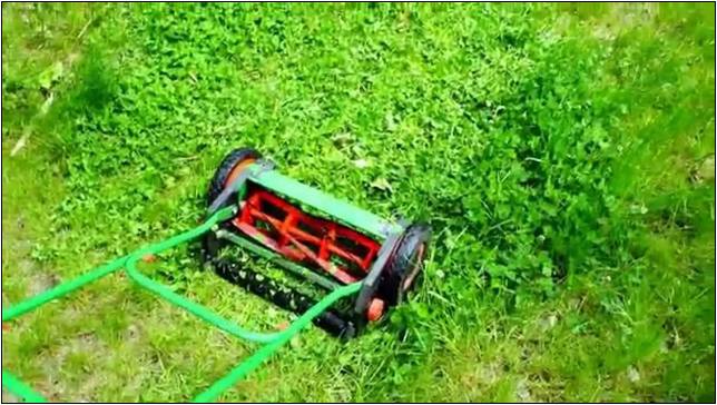 Best Reel Lawn Mower For Zoysia Grass