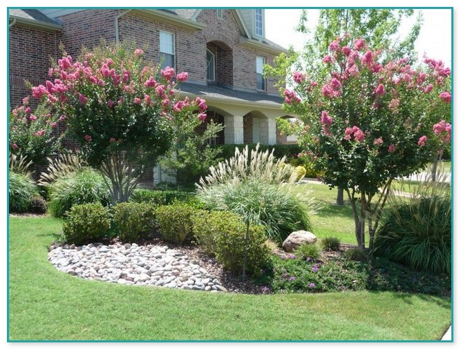 Best Trees For Front Yard Landscaping