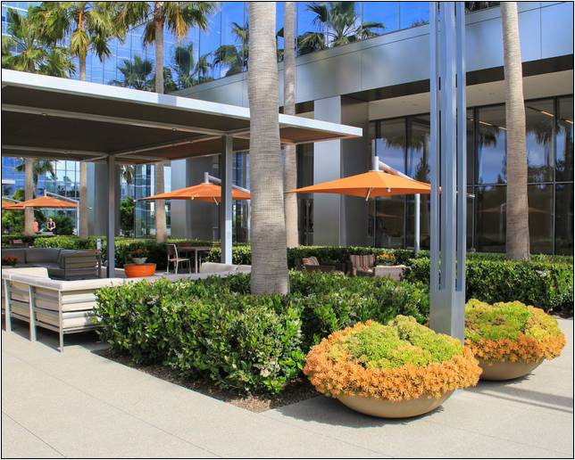 Commercial Landscape Maintenance San Diego