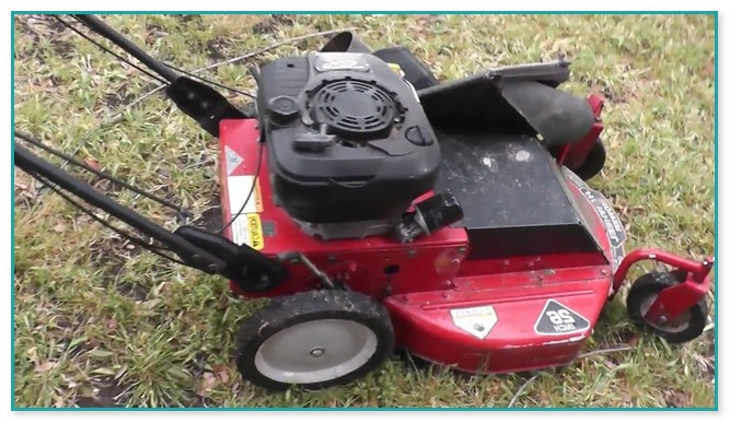 Commercial Push Lawn Mower