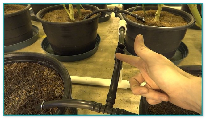 Hydroponic Top Feed Drip Systems