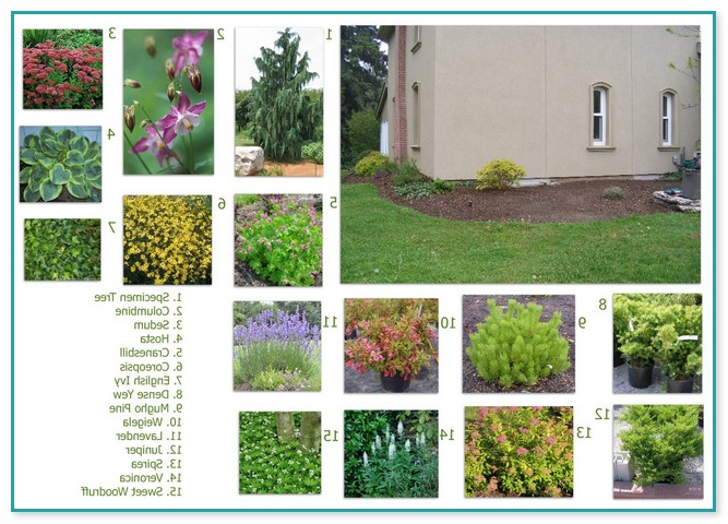 Landscaping Companies In Columbia Sc
