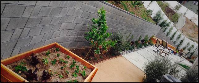 Landscaping Companies In Los Angeles Ca