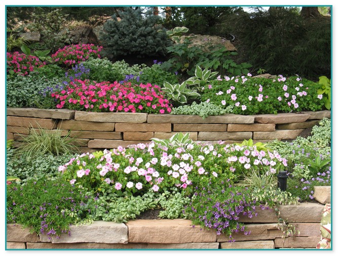 Plants For Colorado Landscaping