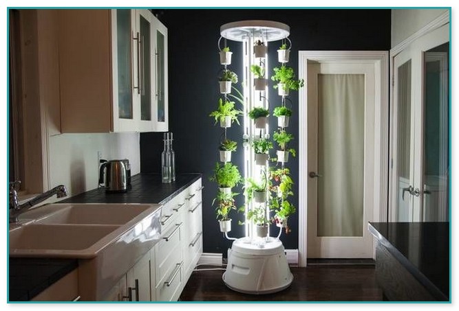 Small Indoor Gardening Systems