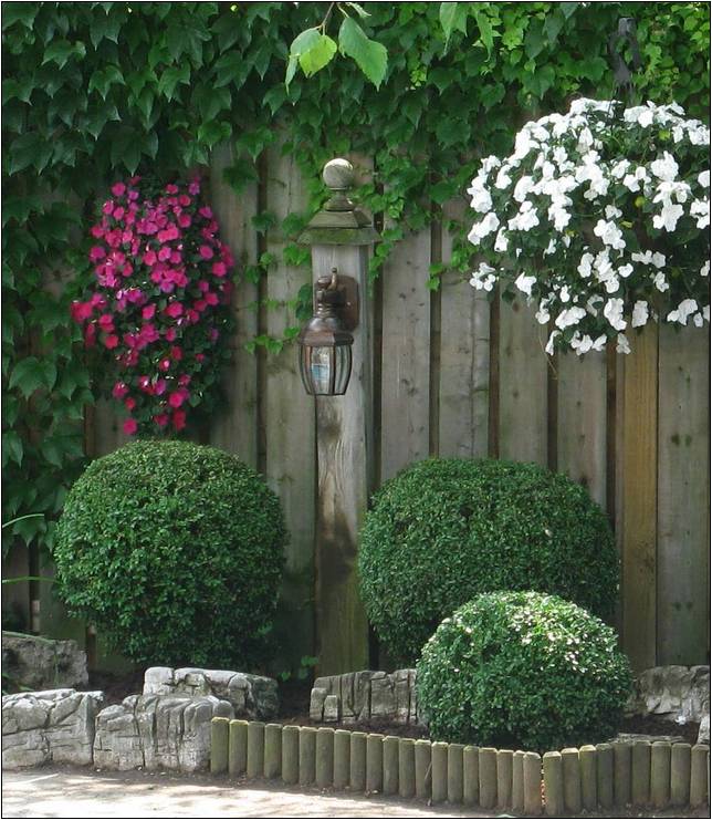 Small Trees For Landscaping Ontario