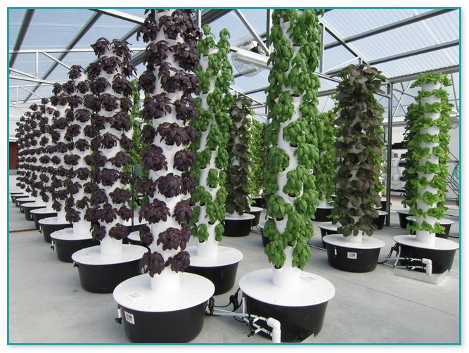 Vertical Hydroponic Systems For Sale